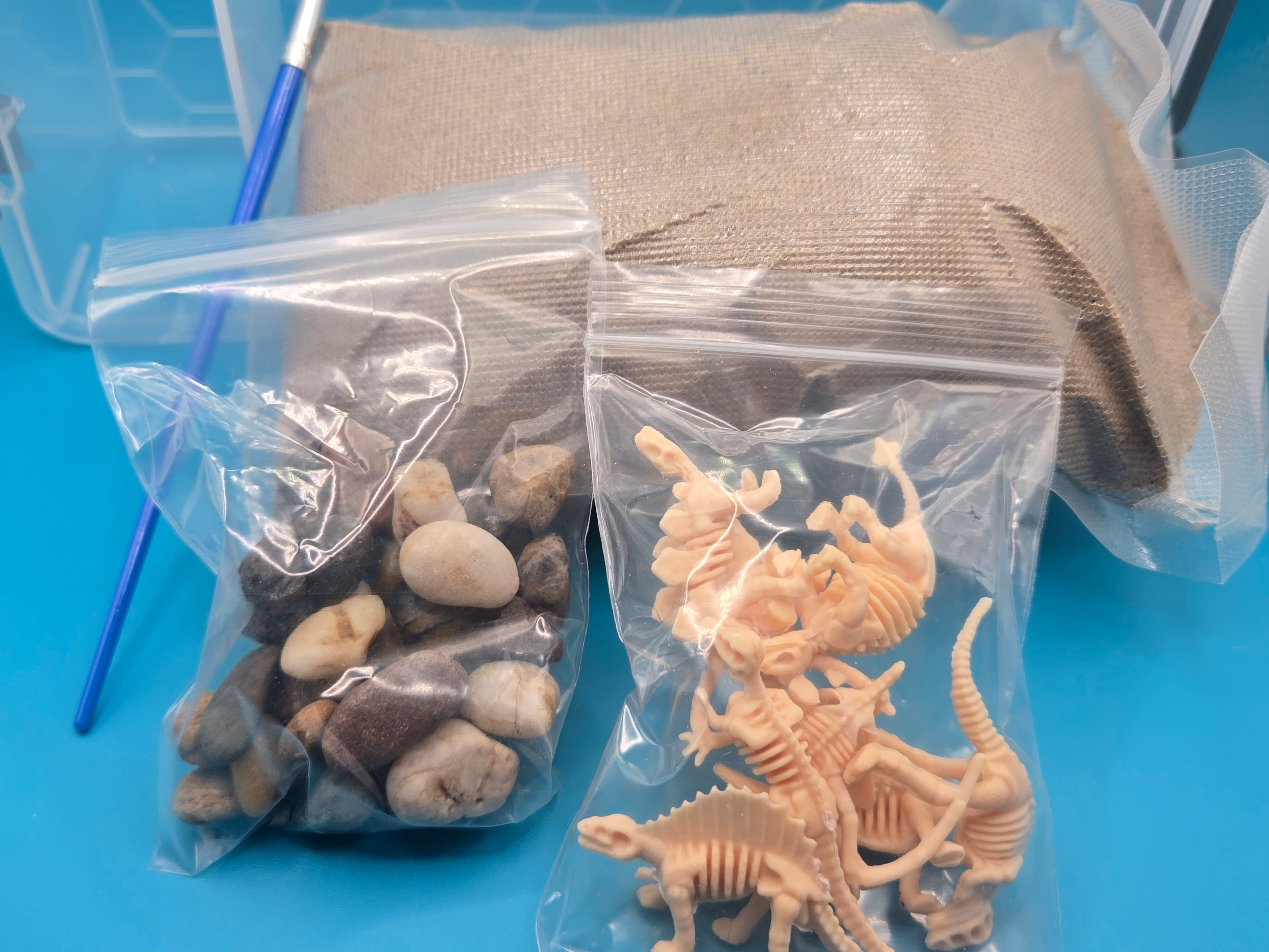 Dino Dig