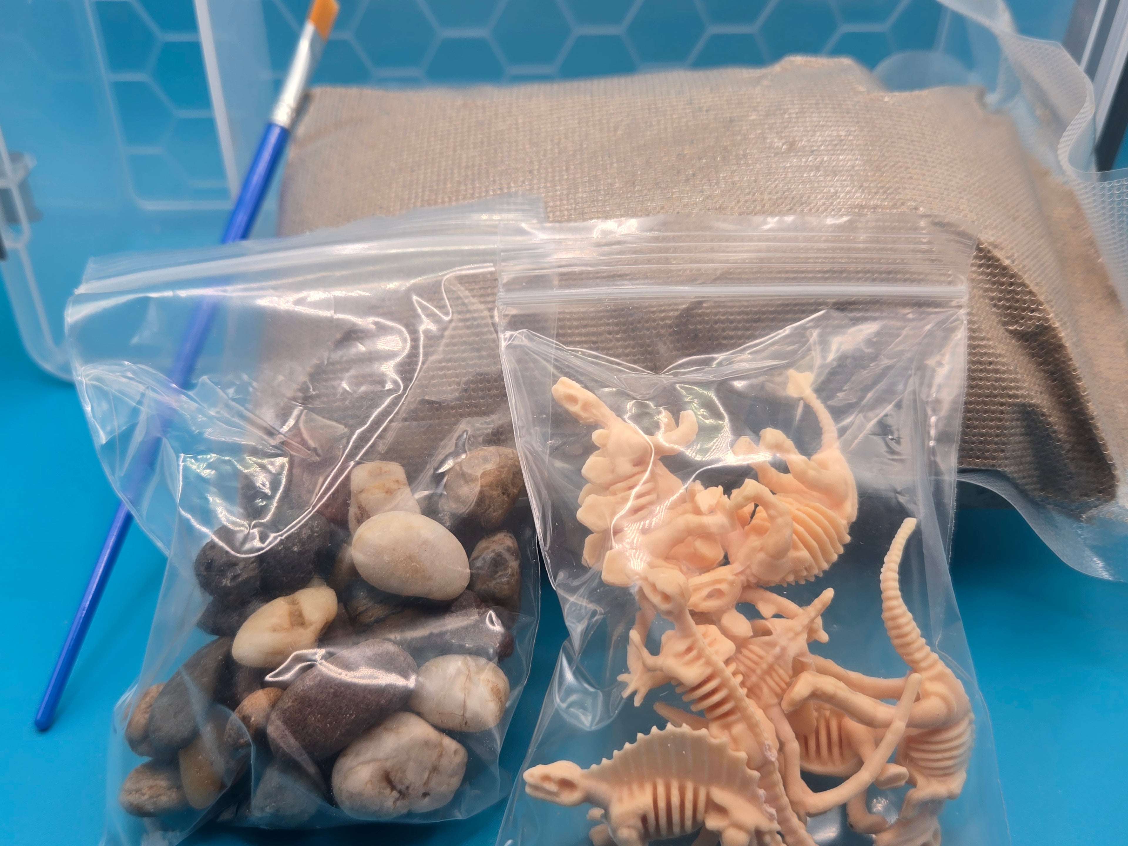 Dino Dig