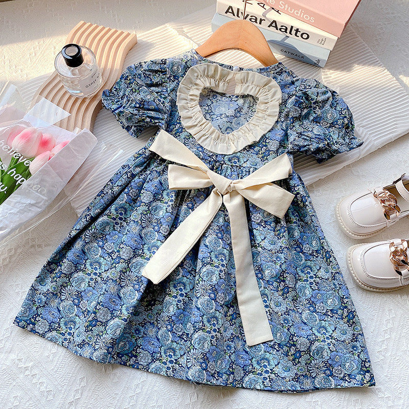 Baby Girl Floral Embroidered Pattern Lace Patchwork Design Backless Puff-Sleeved Dress-1
